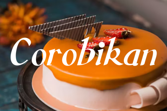 Corobikan: A Handwritten Font That Elevates Web Design