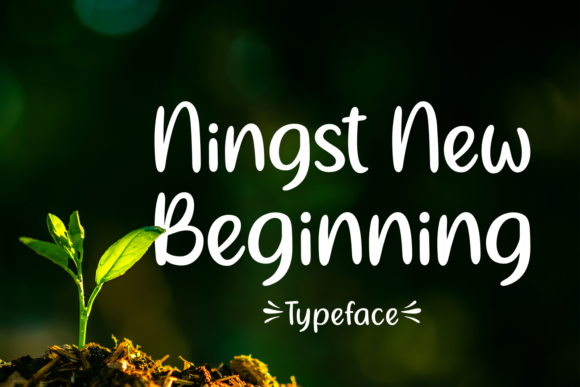 Ningst New Beginning Font Review
